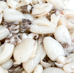 Premium Baby Cuttlefish (per 500g)