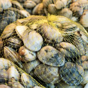 Louisiana Littleneck Clams – Live, Hard Shell (per 500g)