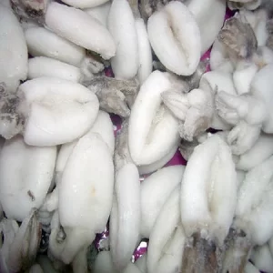 Premium Cuttlefish (per 500g)