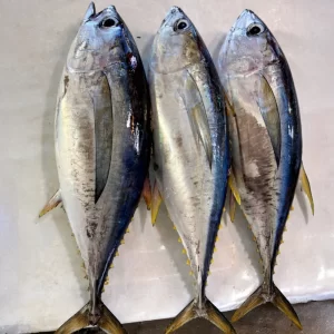 Yellowfin Tuna – Fresh (per 500g)